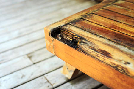 wood decayの写真素材