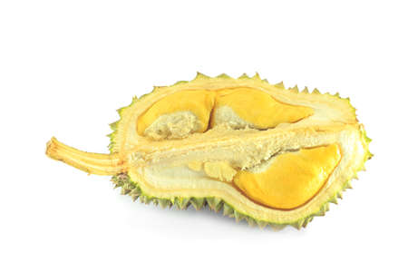 Durian isolated on white backgroundの写真素材