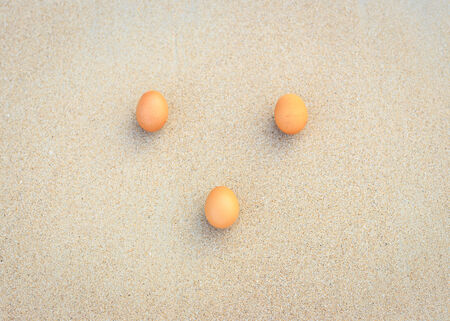 Egg on the beachの写真素材