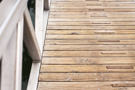 Pinewood walkwakの写真素材