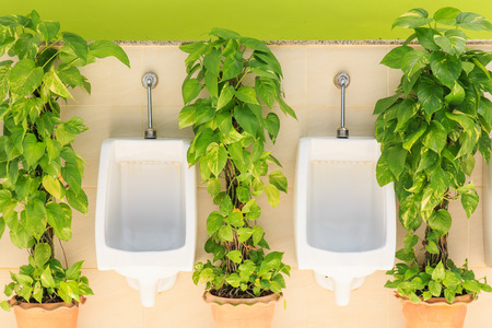 Modern Mens toilets with green plantの写真素材