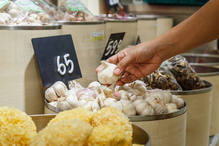 Woman shopping in department storeの写真素材