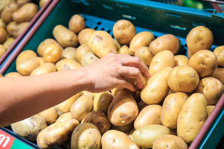 Woman shopping in department storeの写真素材
