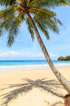 Tropical beach in Phuket, Thailandの写真素材