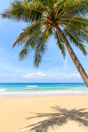 Tropical beach in Phuket, Thailandの写真素材