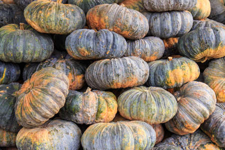 Stack of Pumpkinの写真素材