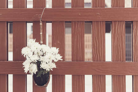 Flower hang on wooden fenceの写真素材