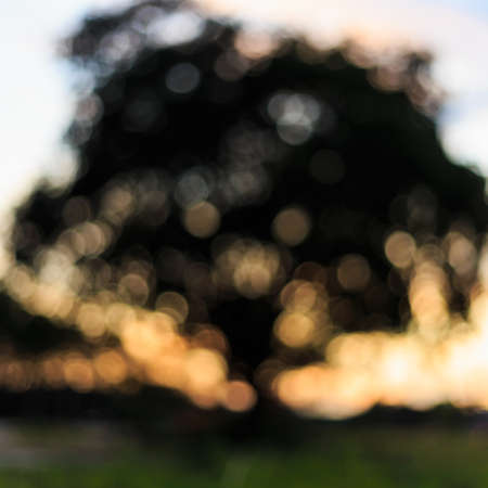 defocused backgroundの写真素材