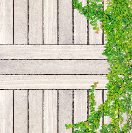 Grey wooden plank background and textureの写真素材