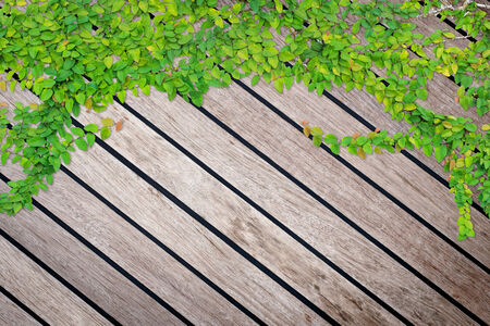 Grey wood texture backgroundの写真素材