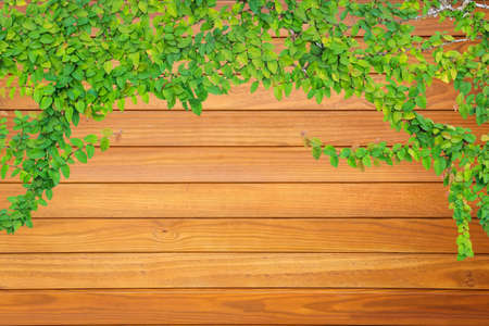 Pine wood plank texture for backgroundの写真素材