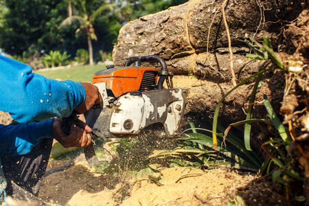 Man sawing log with a chain sawの写真素材