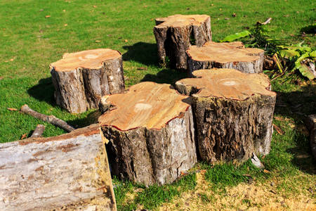 Pile of wood