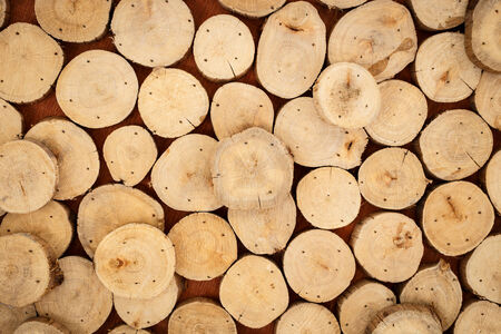 abstract of wood logs texture background