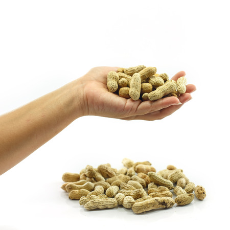 Peanuts, beans isolated on white backgroundの写真素材