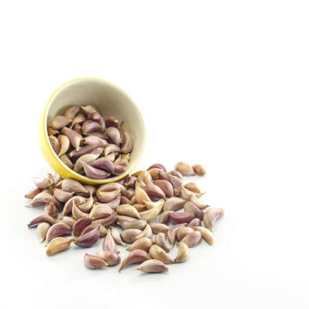 garlic isolated on white backgroundの写真素材