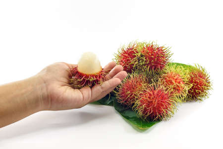 rambutan isolated on white backgroundの写真素材