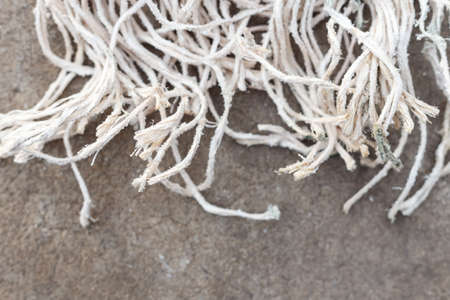 Close up old white rope texture and background