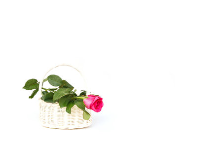 Rose Flower in wooden handmade basket isolated on white backgroundの写真素材