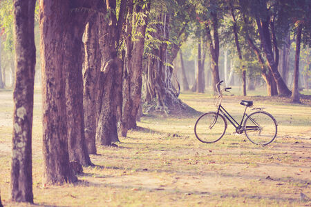 Vintage bicycle in Sukhothai Historical Park, Thailandの写真素材
