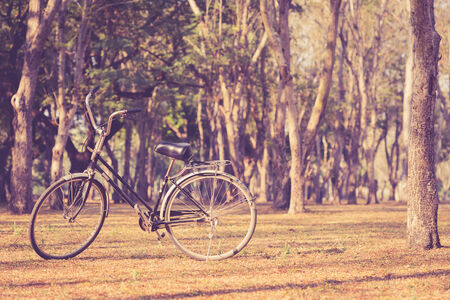 Vintage bicycle in Sukhothai Historical Park, Thailandの写真素材