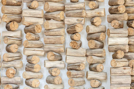 Wood log textured