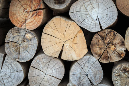 Stacked Logs Texture, Natural の写真素材