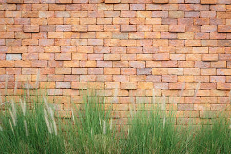 Old red brick wallの写真素材