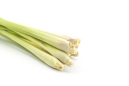 lemongrass isolated on white backgroundの写真素材