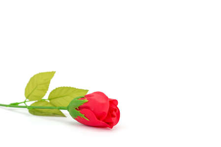 Artificial Red rose isolated on white backgroundの写真素材