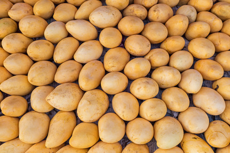 Yellow mango, Thai fruit in market, Thailandの写真素材