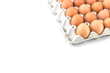 Eggs in paper tray isolated on white backgroundの写真素材