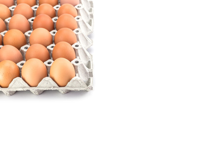 Eggs in paper tray isolated on white backgroundの写真素材