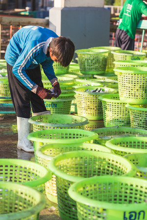 PHUKET - FEBRUARY 23 : Burmese people are working in fish market at Phuket province, Which mostly labor work in this market come from Myanmar, Laos and Cambodia on February 23, 2015 in Phuket, Thailand.のeditorial素材