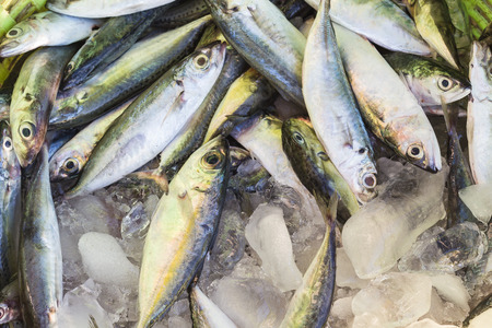 Close up Fresh fish in plastic basket