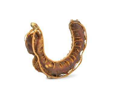 Close up tamarind isolated on white backgroundの写真素材