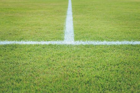 white stripe on grass in stadiumの写真素材