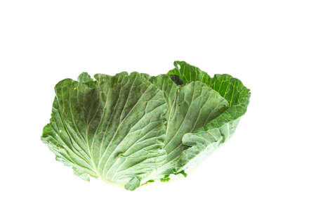Close up green cabbage isolated on white background