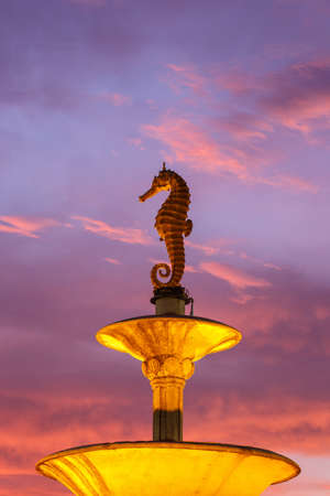Close up seahorse statue at public monument in Phuket, Thailandの写真素材