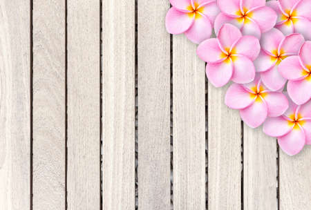 Pink frangipani flower on grey wooden plank background and textureの写真素材