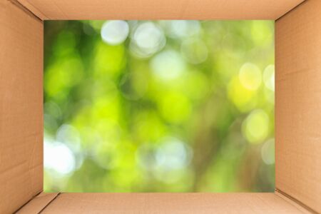 Close up inside of brown cardboard box with sunny abstract green nature background, blurred bokehの写真素材