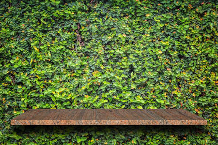 Empty top of natural stone shelves and green pattern wall background. For product displayの写真素材