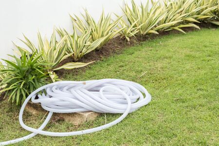 Roll of plastic water hose on ground in the gardenの写真素材