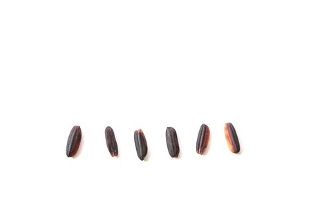 Close up Thai black sticky rice isolated on white backgroundの写真素材