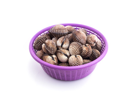 Close up raw blood cockle isolated on white backgroundの写真素材