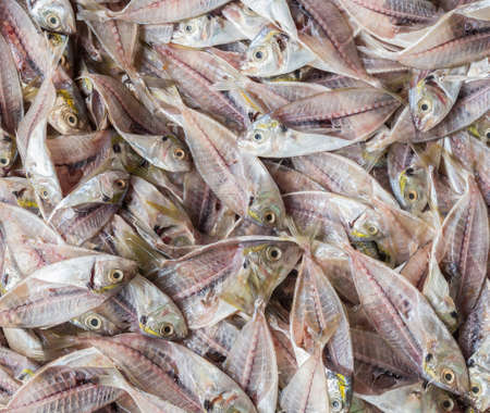 Top view stack of fish skeleton after filleting. Food backgroundの写真素材