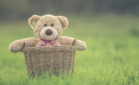Close up lovely brown teddy bear in rattan basket on green field with lens flare. Warm toning effect. Retro and vintage styleの写真素材