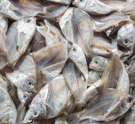 Top view stack of fish skeleton after filleting. Food backgroundの写真素材
