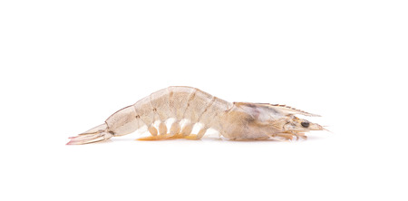 Close up fresh shrimp isolated on white backgroundの写真素材