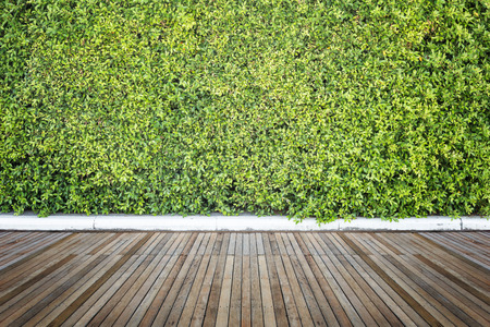 Old hardwood decking or flooring and plant in garden decorativeの写真素材